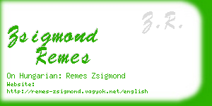 zsigmond remes business card